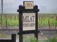 Highlight for Album: Milat Vineyards
