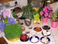 Highlight for Album: Persian New Year (March 2006)