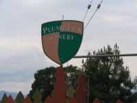 IMG 0916
