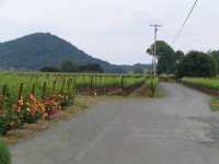 IMG 0917