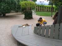 IMG 0927