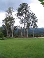 IMG 0951
