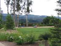 IMG 0953