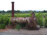 IMG 0955