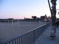 IMG 1061