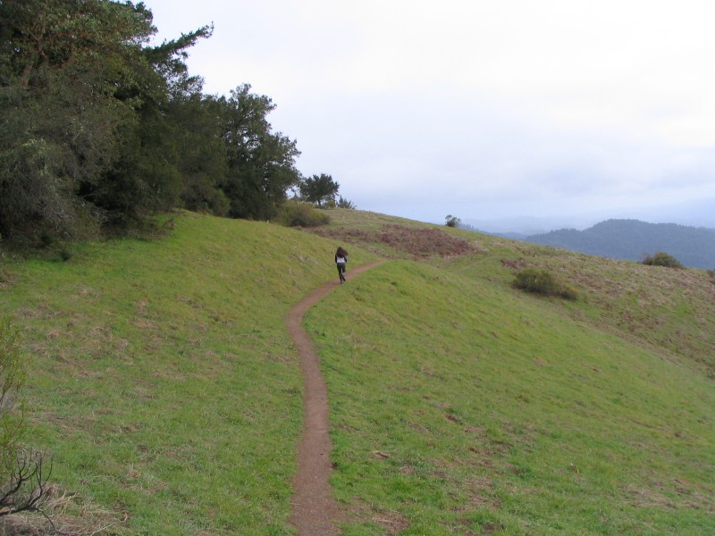 IMG 0735