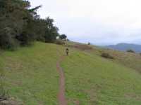IMG 0735