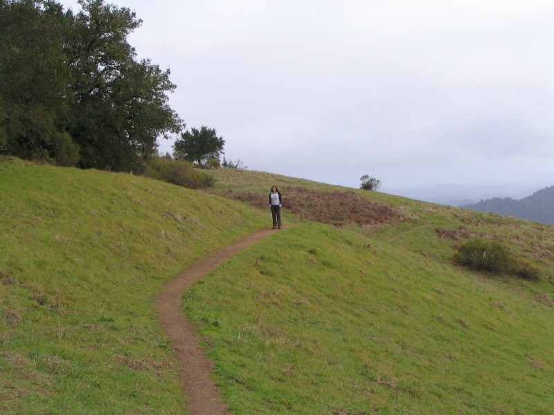 IMG 0736