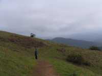 IMG 0737