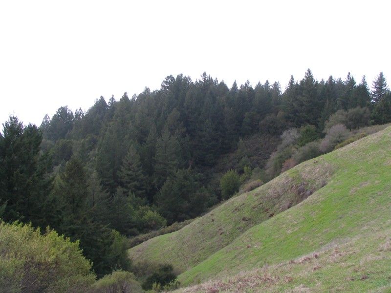 IMG 0739
