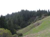 IMG 0739