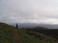 IMG 0740