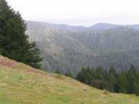 IMG 0744