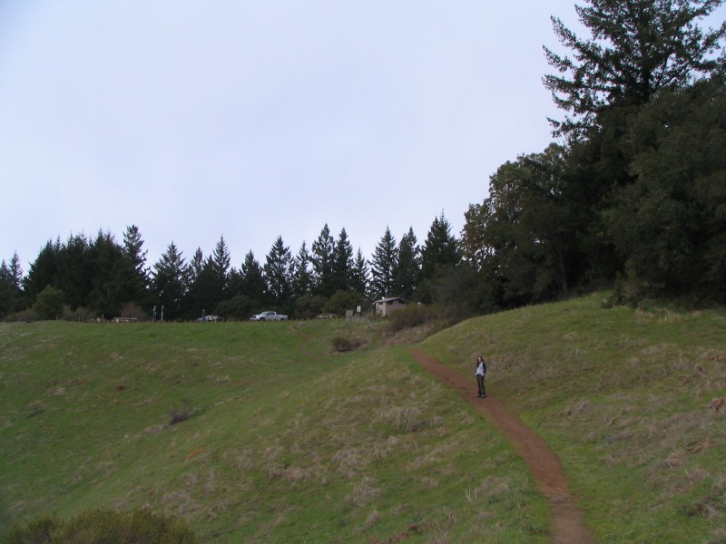 IMG 0746