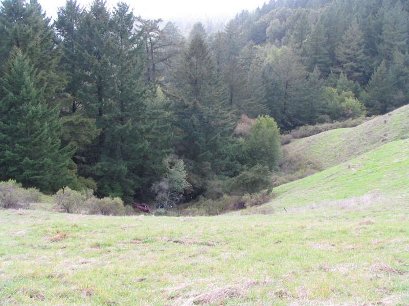 IMG 0748