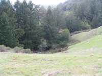 IMG 0748