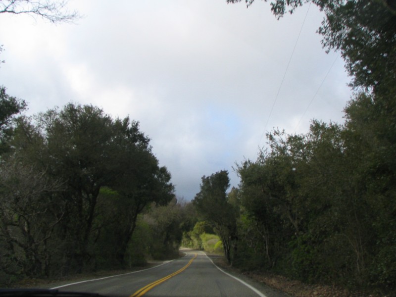 IMG 0750