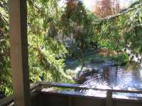 IMG 0399