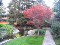 Highlight for Album: Saratoga Gatehouse - Autumn