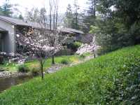 IMG 0849