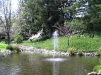 IMG 0851