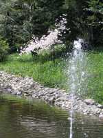 IMG 0852