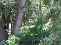 IMG 0856