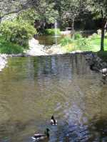 IMG 0859
