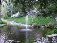 IMG 0863