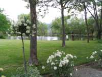 IMG 0936
