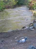IMG 0800