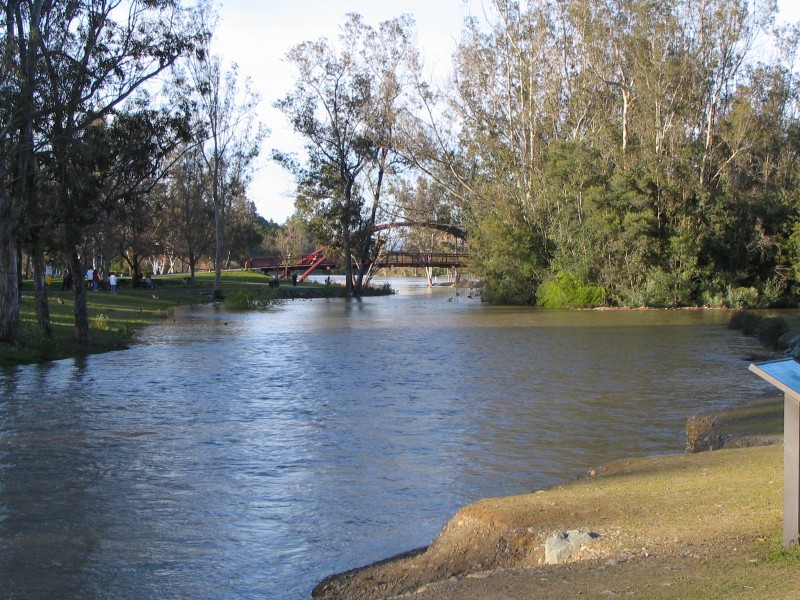 IMG 0803