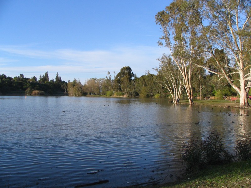 IMG 0805
