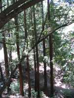IMG 0991