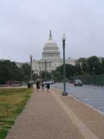 IMG 1539