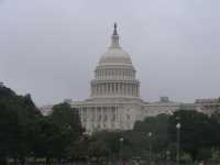 IMG 1542