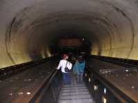 IMG 1749