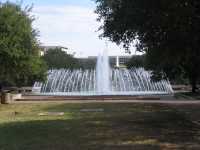IMG 0261