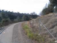 IMG 0427