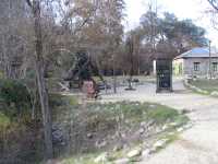 IMG 0434