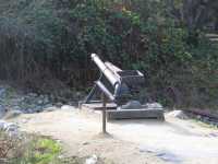 IMG 0436