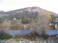 IMG 0442