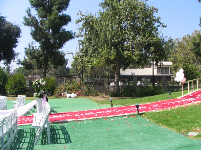 IMG 0084