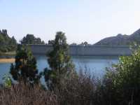 IMG 1920