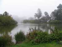 IMG 0206