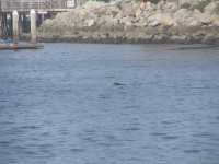 IMG 0376