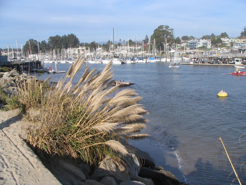 IMG 0377